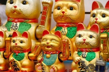 lucky cats